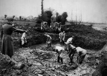 באיחור "קל": הממלכה המאוחדת תחקור את פשעי הנאצים בשטחה בימי השואה