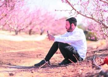 ערוץ וואטסאפ של חסיד בעלז מציע פתרון לחרדים בענייני זוגיות