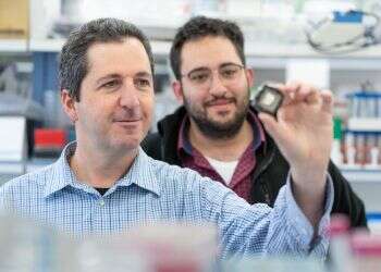 הישג: צוות מחקר ישראלי יצר לב אנושי פעיל קטן יותר מגרגר אורז