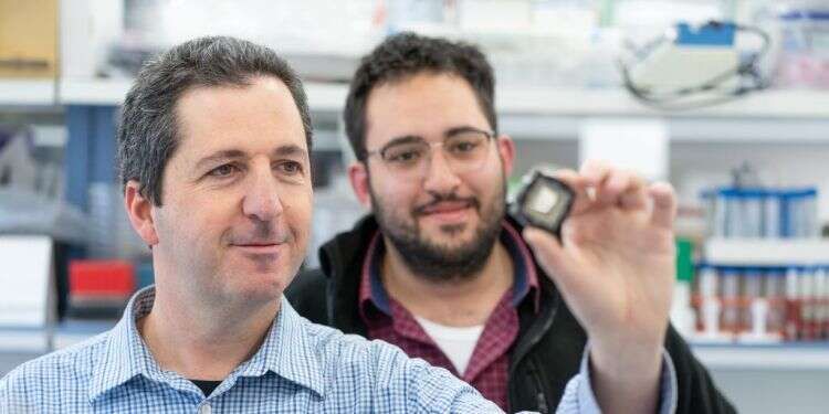 הישג: צוות מחקר ישראלי יצר לב אנושי פעיל קטן יותר מגרגר אורז