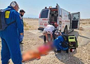 צוות מד ההרוג באסון בעין גדי: יהודה לוי בן ה-8 מחמדת