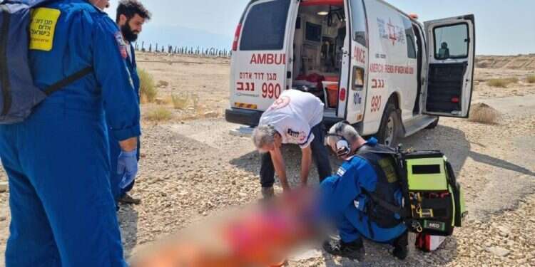 צוות מד ההרוג באסון בעין גדי: יהודה לוי בן ה-8 מחמדת