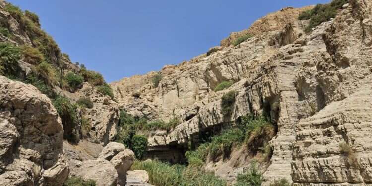 אזור מפולת הסלעים בנחל דוד בסיום פינוי הפצועים. צילום: ליאור לב -רשות הטבע והגנים