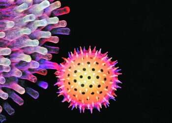 וירוס הקורונה. איגור סיוואנוביץ'