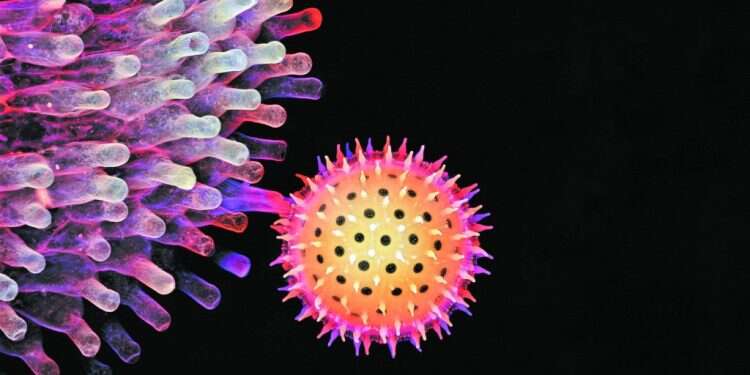 וירוס הקורונה. איגור סיוואנוביץ' וירוס הקורונה. איגור סיוואנוביץ'