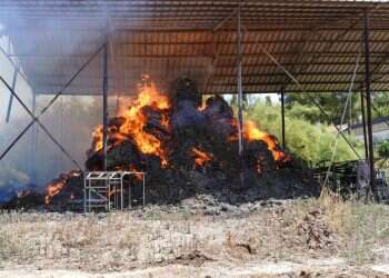 כולם כבר הבינו שהפרוטקשן הוא מכת מדינה, חוץ ממערכת המשפט