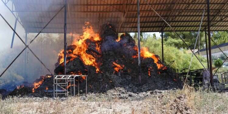 כולם כבר הבינו שהפרוטקשן הוא מכת מדינה, חוץ ממערכת המשפט