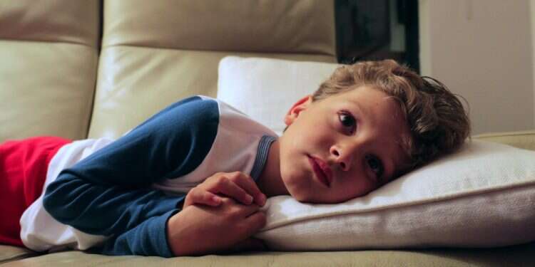 צילום: שאטרסטוק