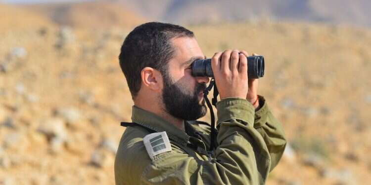 צילום: שאטרסטוק