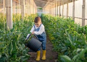יום אחד הזאטוטה מסדרת לך בעיה בטלוויזיה ואת מבינה שזהו, נגמרה המשמעות שלך בעולם