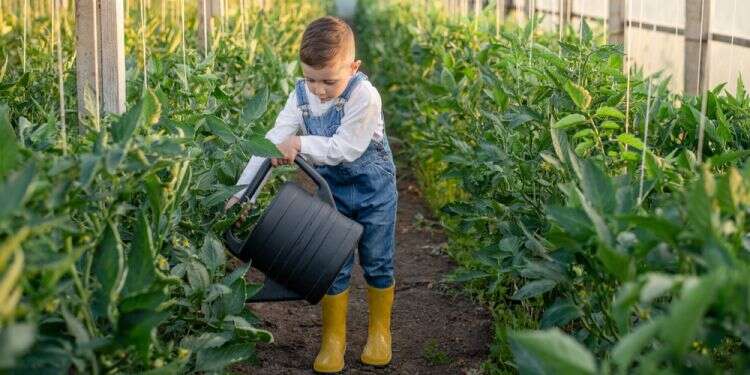 צילום: שאטרסטוק יום אחד הזאטוטה מסדרת לך בעיה בטלוויזיה ואת מבינה שזהו, נגמרה המשמעות שלך בעולם