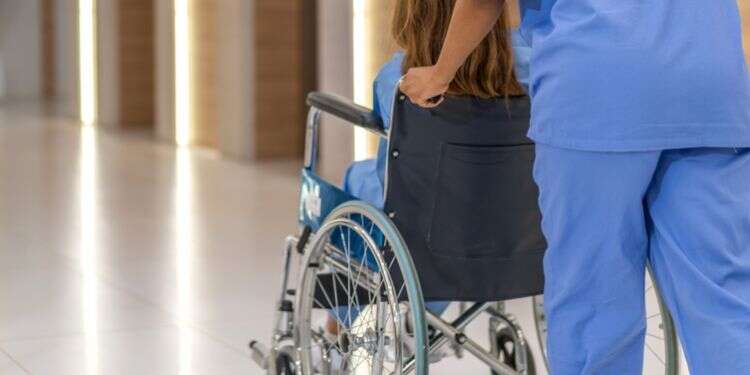 צילום: שאטרסטוק