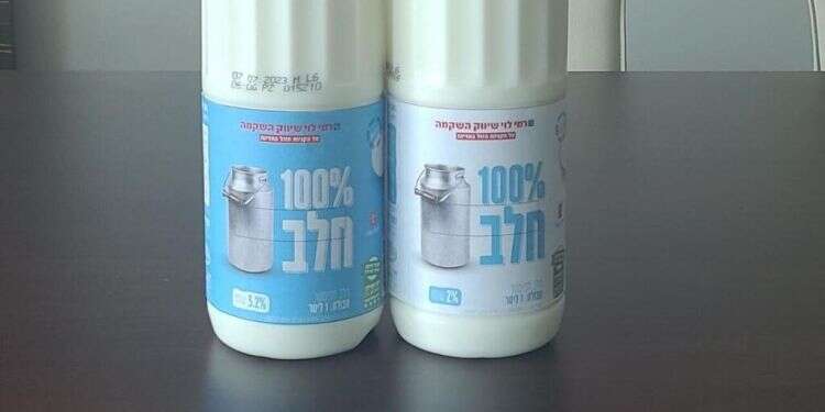 נגד הזרם. בקבוקי החלב של רשת רמי לוי. צילום: אוליבייה פיטוסי, פלאש 90