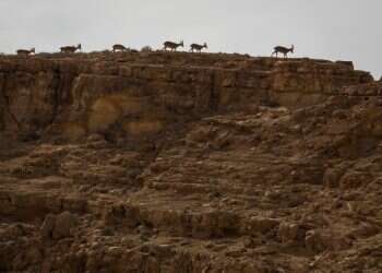 היינות הכי טובים שמגיעים מהאזור החם ביותר בישראל
