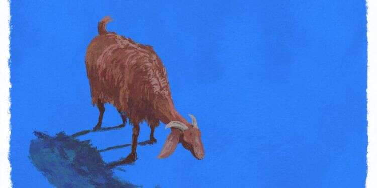 איור: מנחם הלברשטט