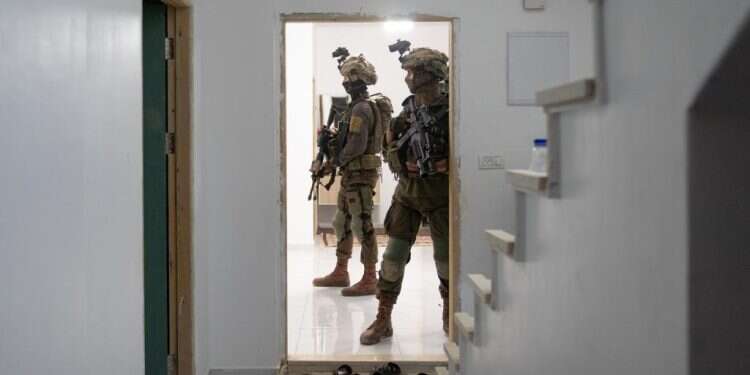 צילום: דובר צה