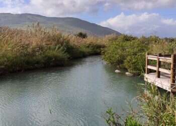 עמק 40 המעיינות: לטייל בארץ בלי להתרושש