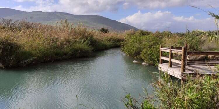 עמק 40 המעיינות: לטייל בארץ בלי להתרושש