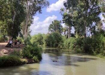 נחל הירקון. צילום: Check in-out מבצר על החוף, נחל זורם ופארק אקולוגי: לטייל בגוש דן בלי להתרושש