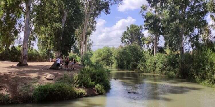 נחל הירקון. צילום: Check in-out מבצר על החוף, נחל זורם ופארק אקולוגי: לטייל בגוש דן בלי להתרושש