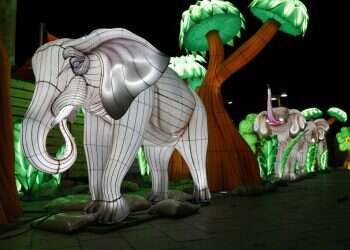 סרט על ספות מפנקות, מתחמי טיפוס, ואחל'קרח: פעילויות לסוף החופש