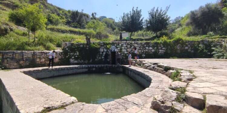 הליפתא. צילום: Check in/out
יום כיף בארץ בלי להתרושש: טיול בהרי ירושלים