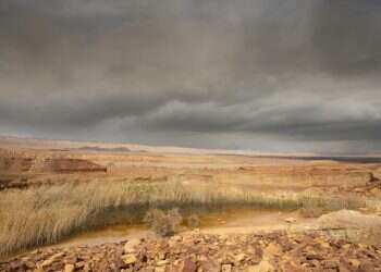 החול הארצי הופך לעננים משייטים בשמיים.