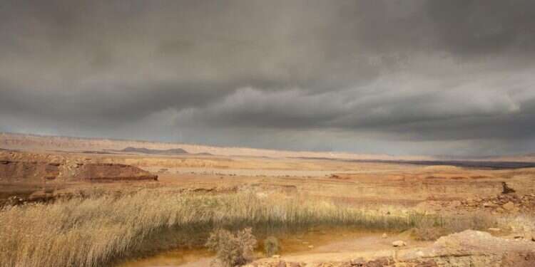 החול הארצי הופך לעננים משייטים בשמיים.