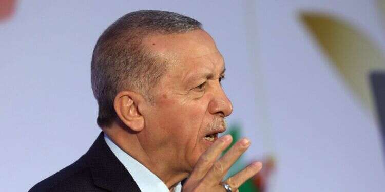 רג'פ טאיפ ארדואן. צילום: EPA ראש המל"ל: "מנסים להגיע להסכמות עם הפלסטינים. יש פרי לשיח הזה"