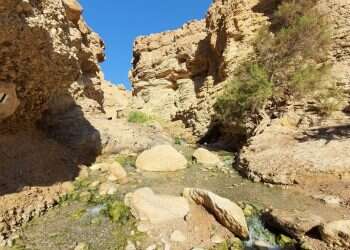 הליכה במים, חנייה בשפע ואטרקציות מסביב: מסלול לעין בוקק