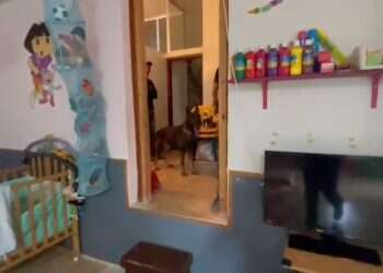 הגננת אמרה להרים ידיים: בעלת פעוטון בטייבה נעצרה על אחזקת נשקים