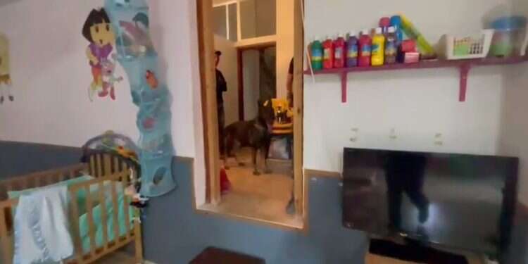 הכניסה למחזק הנשק בגן הילדים בטייבה. צילום: דוברות המשטרה הגננת אמרה להרים ידיים: בעלת פעוטון בטייבה נעצרה על אחזקת נשקים