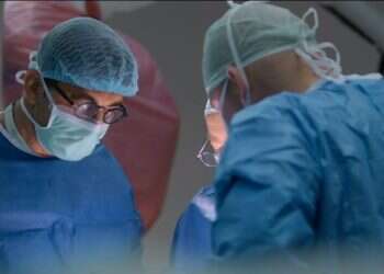 "הדוב": העונה השנייה התעלתה על הראשונה – וזה קשה