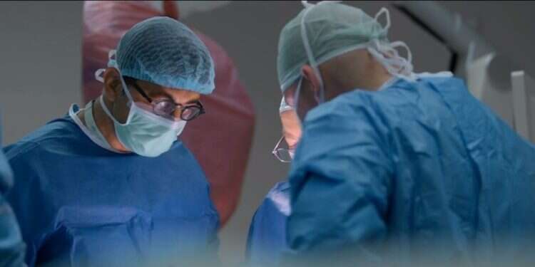 "הדוב": העונה השנייה התעלתה על הראשונה – וזה קשה