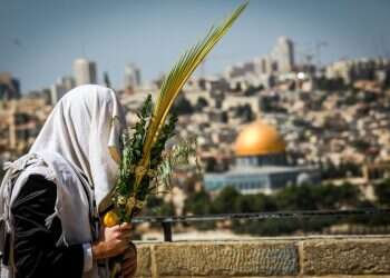 בירושלים ובמקומות נוספים בארץ ייטלו לולב בשבת: "העיר כבר שבה לתפארתה"