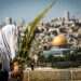 בירושלים ובמקומות נוספים בארץ ייטלו לולב בשבת: "העיר כבר שבה לתפארתה"