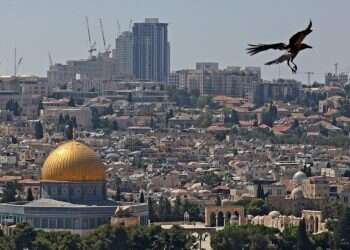 לאחר השבירה בעומס החום: ירידה בטמפרטורות וטפטוף