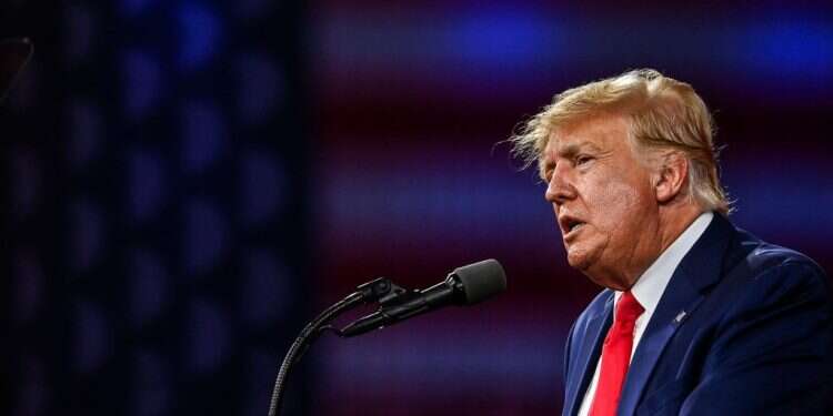 דונלד טראמפ. צילום: AFP דונלד טראמפ. צילום: AFP