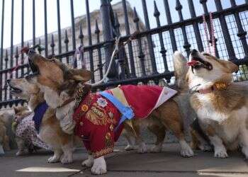 שנה למותה: מצעד יוצא דופן התקיים לזכר המלכה אליזבת'