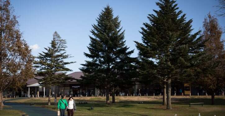 יפן, צילום: נתי שוחט, פלאש 90 מחיר כלכלי ודמוגרפי: 1 מכל 10 יפנים עבר את גיל 80