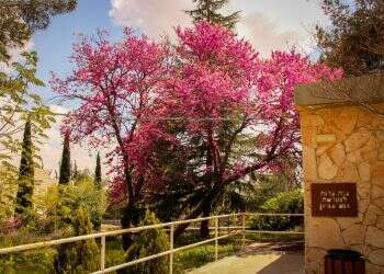 בטקס מרגש: 16 כיתות נחנכו לזכרם של נופלי כפר עציון