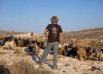 נער גבעות רועה צאן ביהודה ושומרון