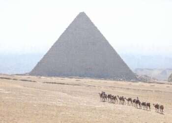 אנחנו חוזים בלידתו של סוג חדש של גורד שחקים – כזה ששום מהנדס לא צפה