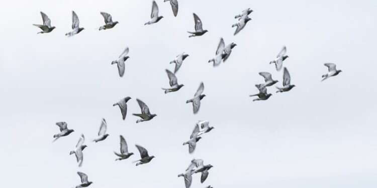 צילום: גטי אימג'ס