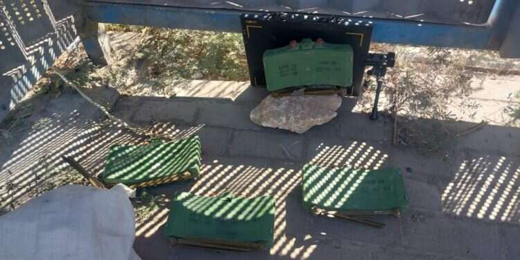 צילום: דוברות שב