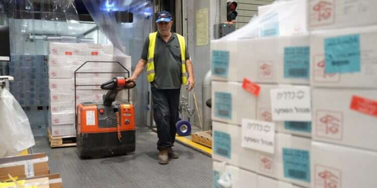 הגעת חיסוני השפעת למרלו הכינו את גופכם לחורף: קופות החולים החלו במבצע חיסוני השפעת