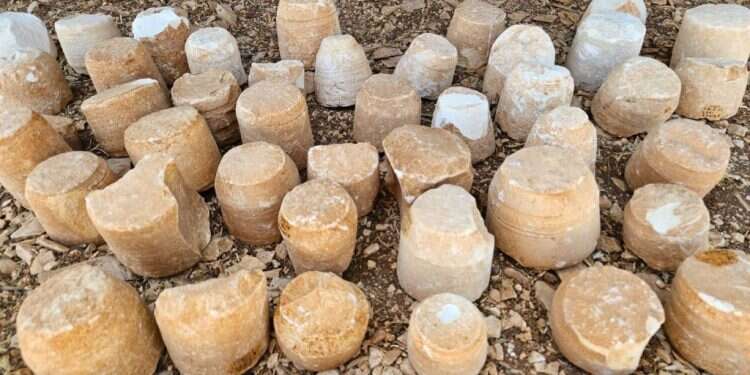 כלי אבן שהתגלו בחפירות הארכיאולוגיות בבנימין. צילום: המנהל האזרחי תגלית היסטורית: המקום בו יוצרו כלי אבן בזמן בית המקדש