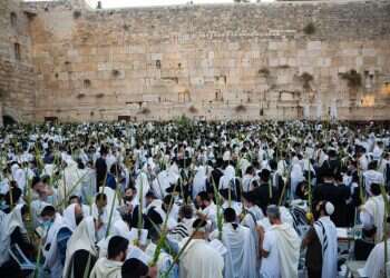 בתשלום ובחינם, ביער או על שפת הים: חניוני לילה שכדאי להכיר