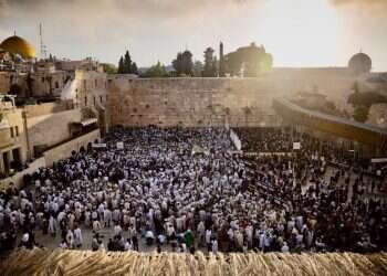 בתשלום ובחינם, ביער או על שפת הים: חניוני לילה שכדאי להכיר