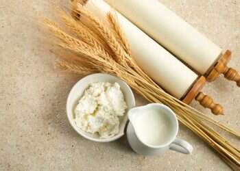 פורום קהלת ועוד מגילות: הטריוויה השבועית